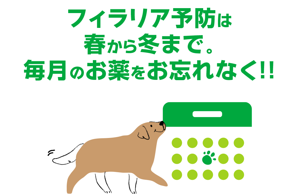 フィラリア予防は春から冬まで。毎月のお薬をお忘れなく!!
