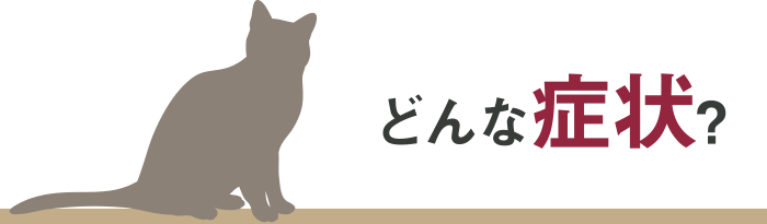 どんな症状?