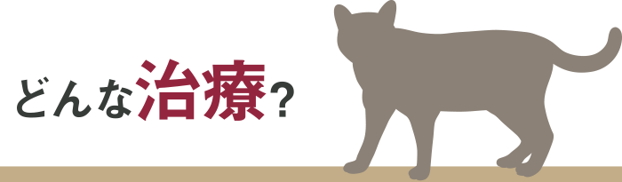 どんな治療?