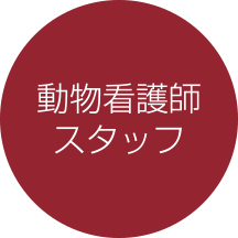 動物看護師スタッフ